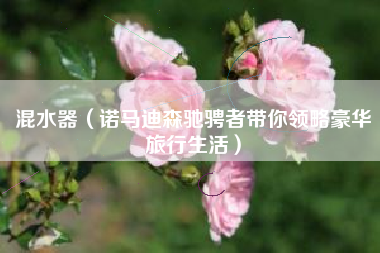 混水器（诺马迪森驰骋者带你领略豪华旅行生活）
