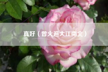 真好（曾火遍大江南北）