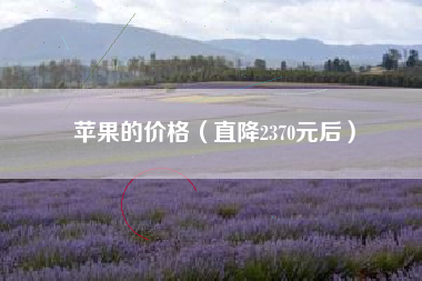 苹果的价格(直降2370元后)