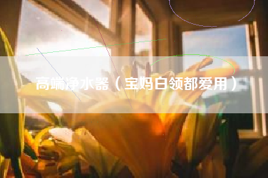 高端净水器（宝妈白领都爱用）