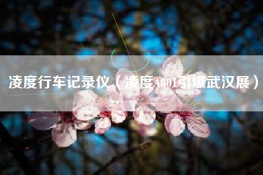 凌度行车记录仪(凌度A801引爆武汉展)