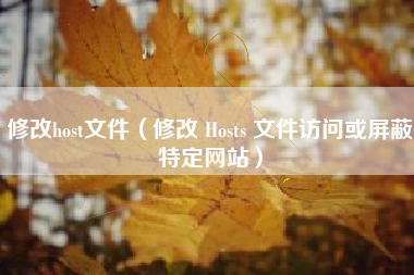 修改host文件（修改 Hosts 文件访问或屏蔽特定网站）