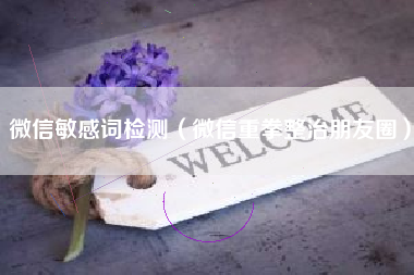 微信敏感词检测（微信重拳整治朋友圈）