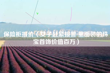 保险柜报价（女子赶紧报警:里面装的珠宝首饰价值百万）