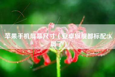 苹果手机屏幕尺寸(安卓旗舰都标配2K屏了)
