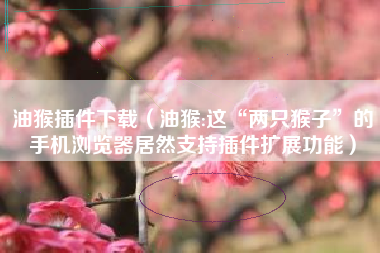 油猴插件下载（油猴:这“两只猴子”的手机浏览器居然支持插件扩展功能）