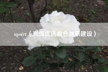upsert(兴盛优选数仓体系建设)