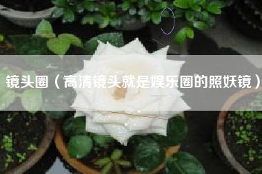 镜头圈（高清镜头就是娱乐圈的照妖镜）