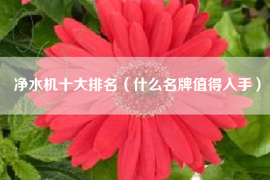 净水机十大排名（什么名牌值得入手）