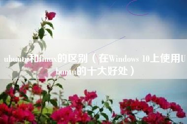 ubuntu和linux的区别（在Windows 10上使用Ubuntu的十大好处）