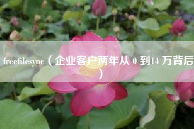 freefilesync(企业客户两年从 0 到14 万背后)