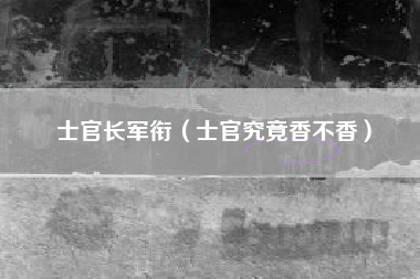 士官长军衔(士官究竟香不香)