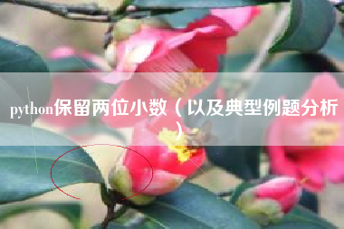 python保留两位小数（以及典型例题分析）