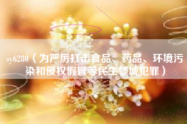 sy6280（为严厉打击食品、药品、环境污染和侵权假冒等民生领域犯罪）