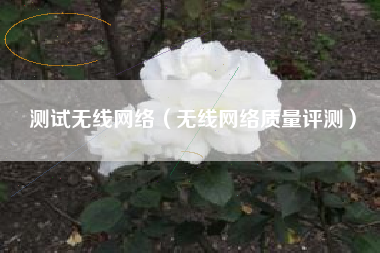 测试无线网络(无线网络质量评测)