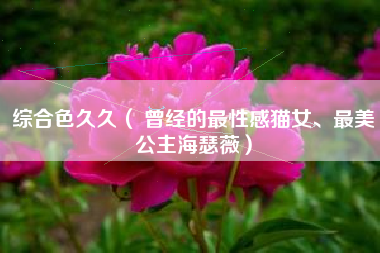 综合色久久( 曾经的最性感猫女、最美公主海瑟薇)