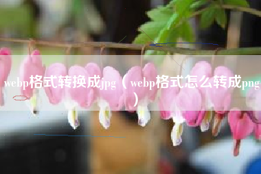 webp格式转换成jpg（webp格式怎么转成png）