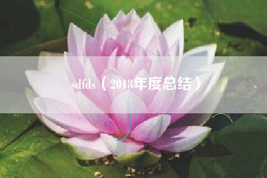 sdfds（2018年度总结）
