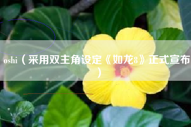 oshi（采用双主角设定《如龙8》正式宣布）