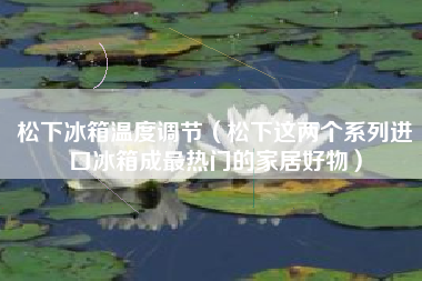 松下冰箱温度调节(松下这两个系列进口冰箱成最热门的家居好物)