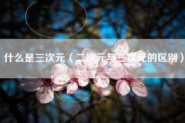 什么是三次元(二次元与三次元的区别)