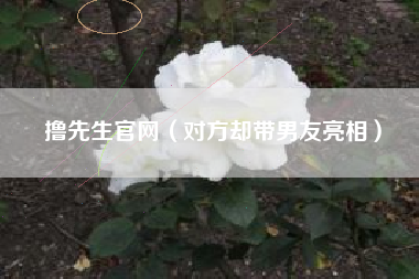 撸先生官网(对方却带男友亮相)