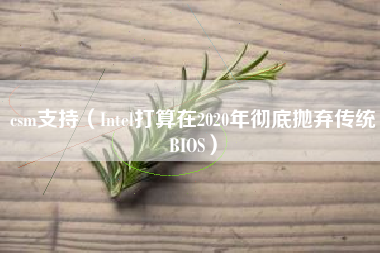 csm支持（Intel打算在2020年彻底抛弃传统BIOS）