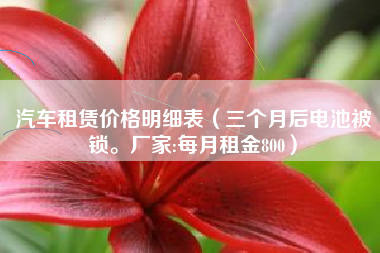 汽车租赁价格明细表（三个月后电池被锁。厂家:每月租金800）