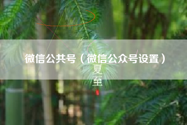 微信公共号（微信公众号设置）