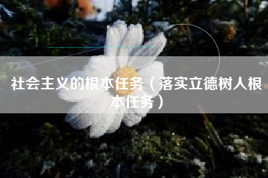 详细阅读:社会主义的根本任务(落实立德树人根本任务) 社会主义的根本任务(落实立德树人根本任务)