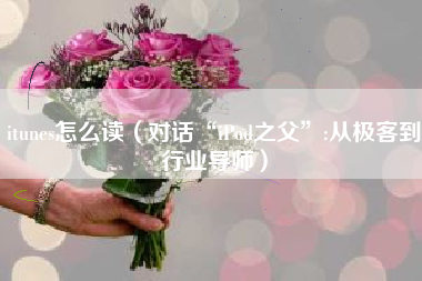 itunes怎么读（对话“iPod之父”:从极客到行业导师）