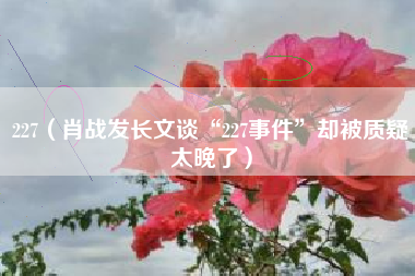 227(肖战发长文谈“227事件”却被质疑太晚了)