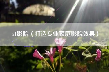 x1影院(打造专业家庭影院效果)