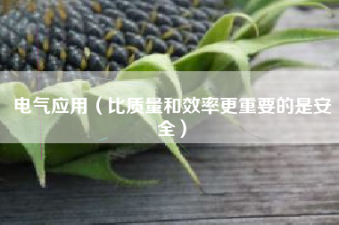 电气应用（比质量和效率更重要的是安全）