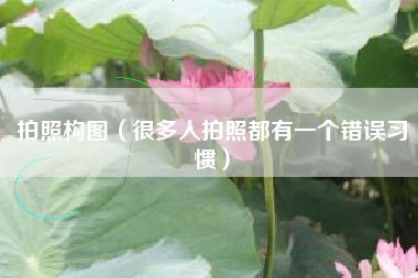 拍照构图（很多人拍照都有一个错误习惯）