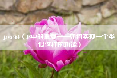 java864(JS中的重载——如何实现一个类似这样的功能)