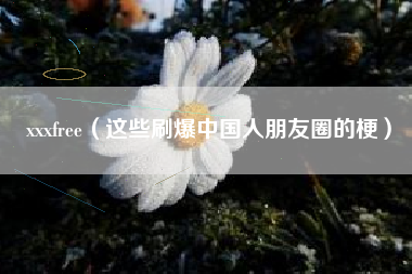 xxxfree(这些刷爆中国人朋友圈的梗)