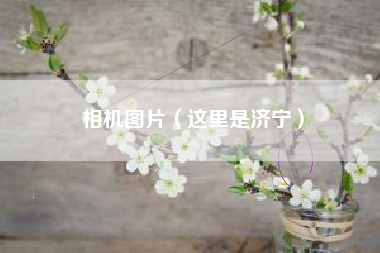 相机图片(这里是济宁)