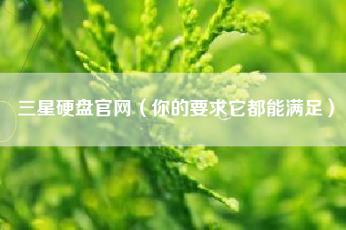 三星硬盘官网(你的要求它都能满足)