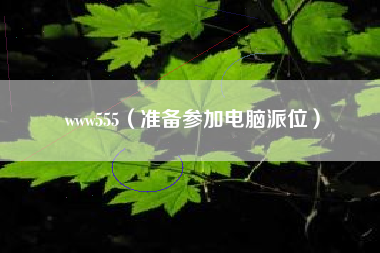 www555（准备参加电脑派位）
