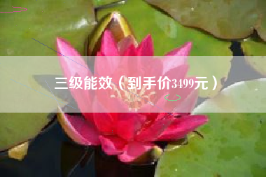 三级能效（到手价3499元）