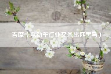 吉摩(电动车行业又杀出匹黑马)