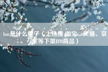hm是什么牌子(上热搜 淘宝、天猫、京东等下架HM商品)