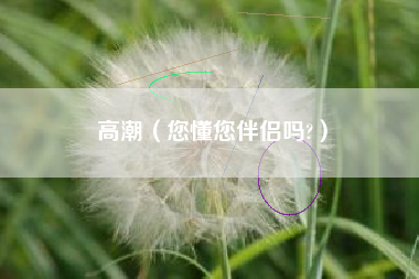 高潮（您懂您伴侣吗?）