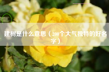建树是什么意思(200个大气独特的好名字)
