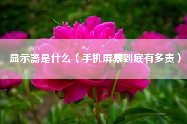 显示器是什么(手机屏幕到底有多贵)