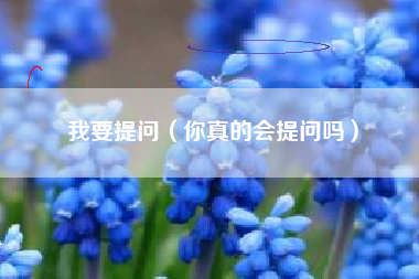 我要提问(你真的会提问吗)