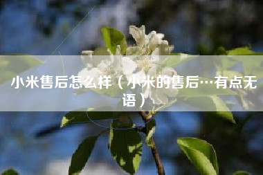 小米售后怎么样（小米的售后…有点无语）