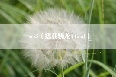 nex5(搭载骁龙8 Gen1)