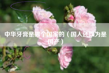 中华牙膏是哪个国家的(国人还以为是国产)